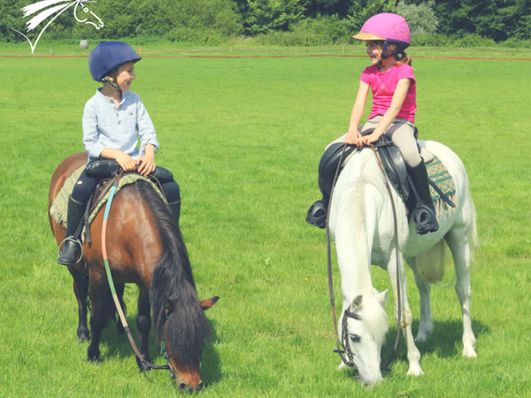 Stages poneys 5-7 ans